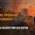 Головні новини Києва | Kyiv.News Пожежа в екосистемі Київщини — рятувальники ДСНС гасять загоряння сухої рослинності, 2026 рік
