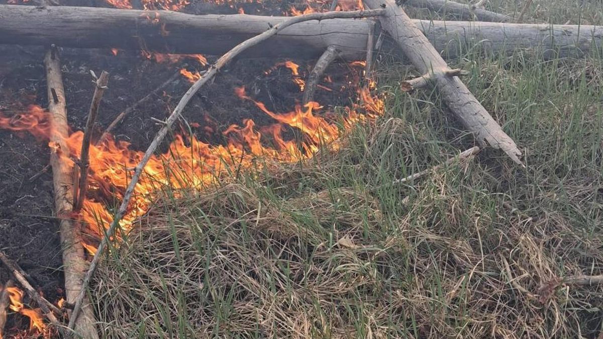 Пожежа в Чорнобильській зоні після «Гераней»: 82 га горить