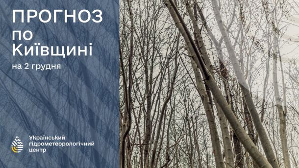 В лісі стоять голі дерева