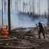 Рятувальник ДСНС Київщини гасить лісову пожежу в Чорнобильській зоні відчуження — температура в осередках горіння сягає 50 градусів