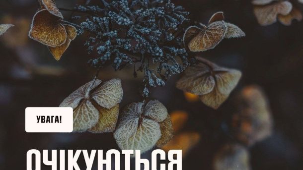 **⚠️ Увага: синоптики Укргідрометцентру попереджають про штормовий вітер та заморозки в Україні найб