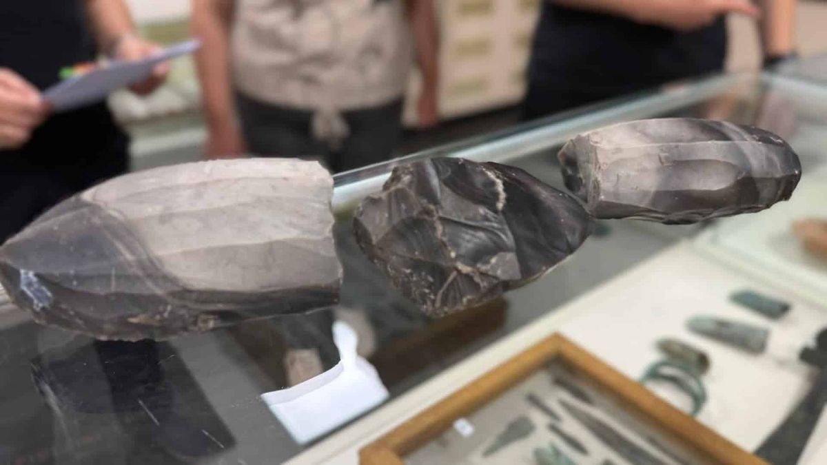 Три крем'яні нуклеуси віком щонайменше 6 тисяч років, які пересилали посилкою з Кривого Рогу до США, вилучили київські митники під час контролю міжнар