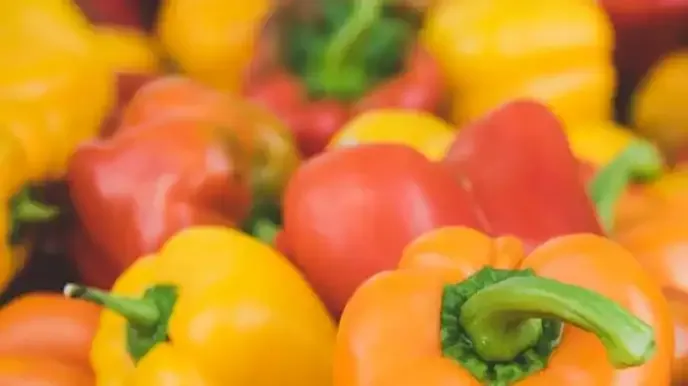 Овочі крупним планом