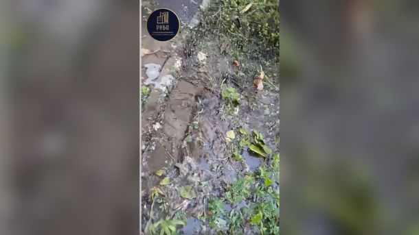 Розмитий вологий ґрунт і калюжі води на території біля житлового будинку на Оболонському проспекті, 10в, спричинені підземною витоком