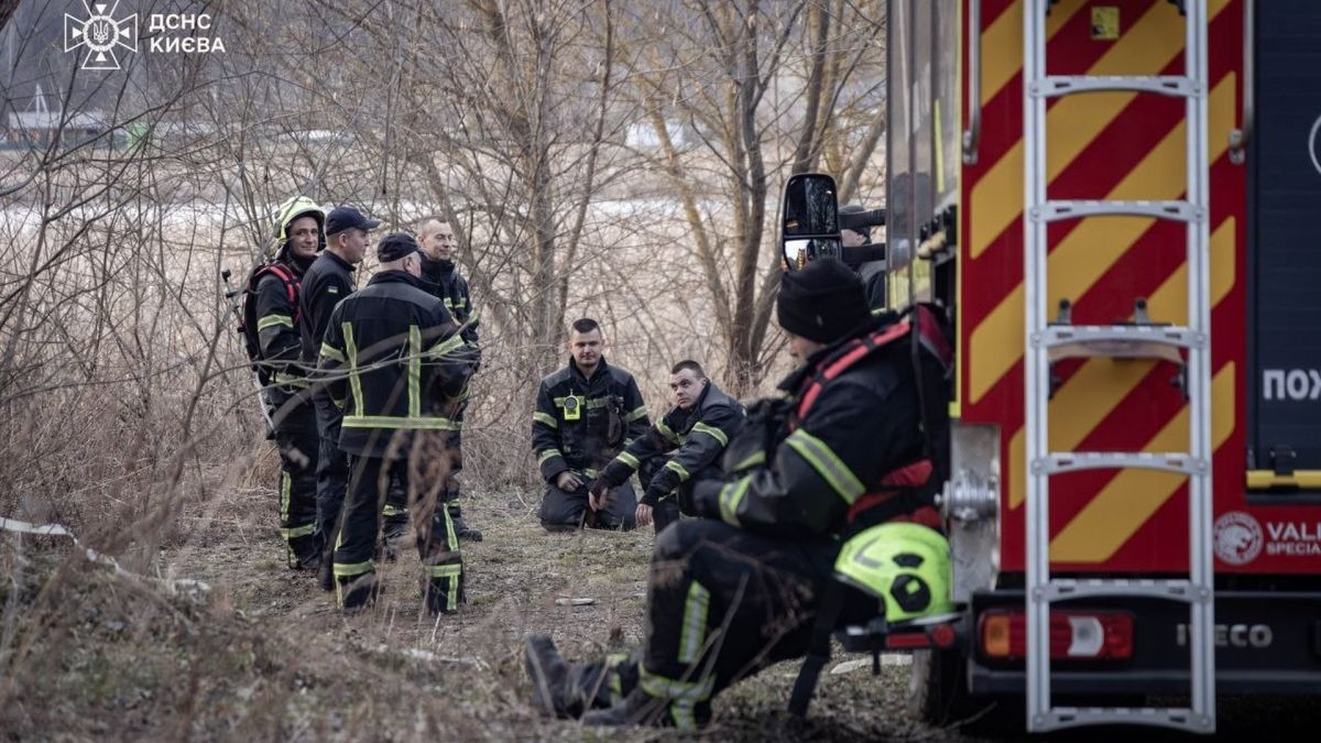 Пожежу очерету ліквідували в Святошинському районі: 500 кв.