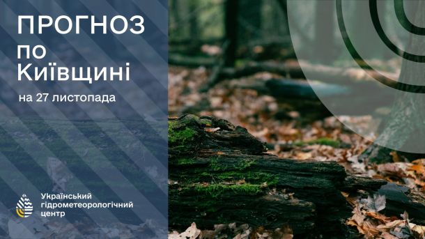 Український виробник розповів про масштаби виробництва та ефективність FP-1 (відео NV) На колажі Укргідрометцентру про прогноз погоди на 27 листопада дерево з мохом у лісі