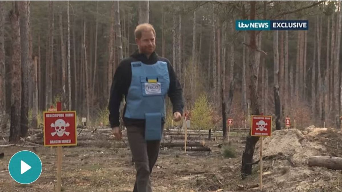 Принц Гаррі у синьому жилеті HALO Trust іде розмінованим лісом поблизу Бучі на Київщині з табличками Небезпека міни