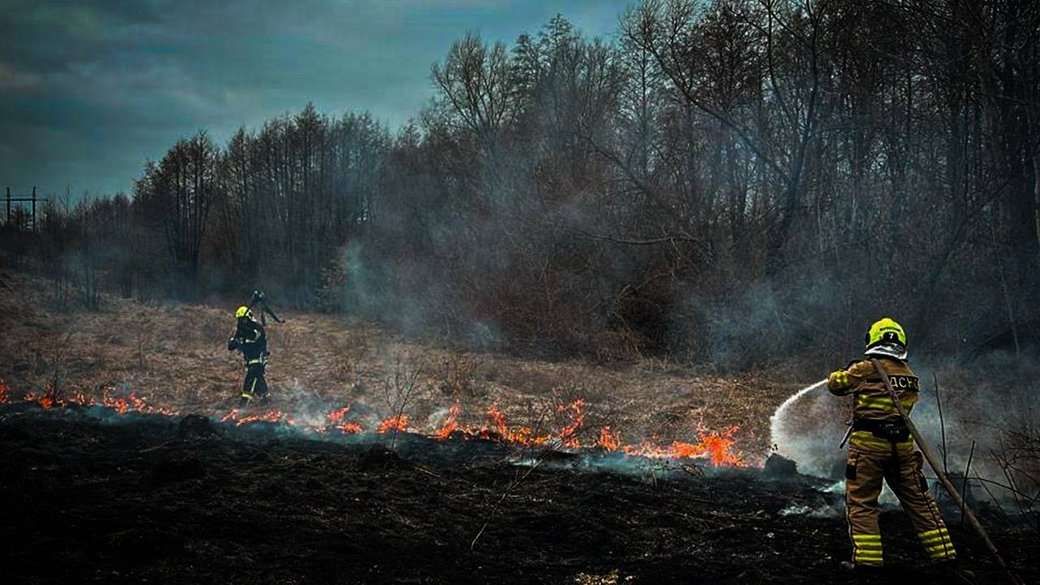 У Києві 15–17 липня — надзвичайна пожежна небезпека: заборона на ліси, штрафи за порушення Рятувальники гасять пожежу. Фото: ДСНС Київщини / Telegram