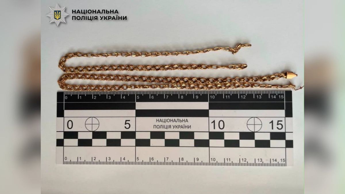 35-річного грабіжника судитимуть за зірваний ланцюжок у Дніпровському районі Поліцейські затримали 35-річного чоловіка за пограбування жінки в Дніпровському районі Києва — вкрадений ланцюжок повернули власниці