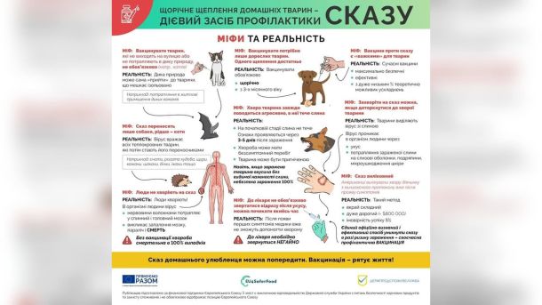 Інфографіка Держпродспоживслужби: міфи та реальність про щорічну вакцинацію домашніх тварин проти сказу