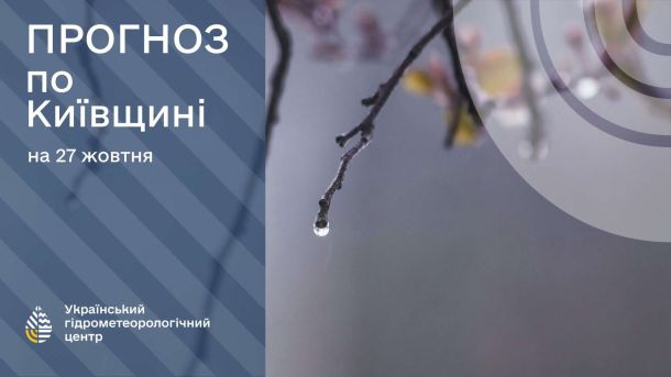 Погода в Києві та області 30 жовтня: без опадів і до +16° Гілки без листя, з яких крапають крапельки дощу
