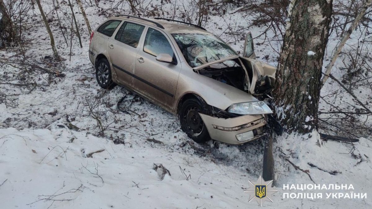 Автівка, яка після з'їзду з дороги врізалася в дерево
