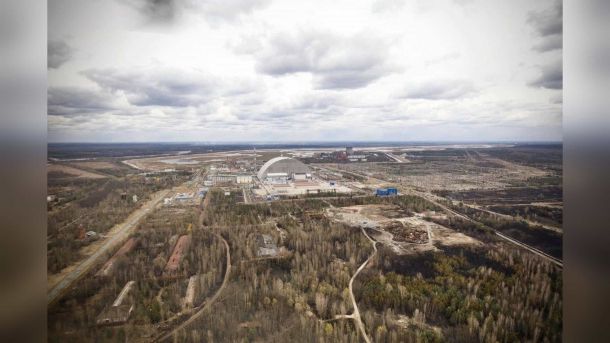 Сліди бурого ведмедя на обпаленій ділянці Чорнобильського радіаційно-екологічного біосферного заповідника на Київщині