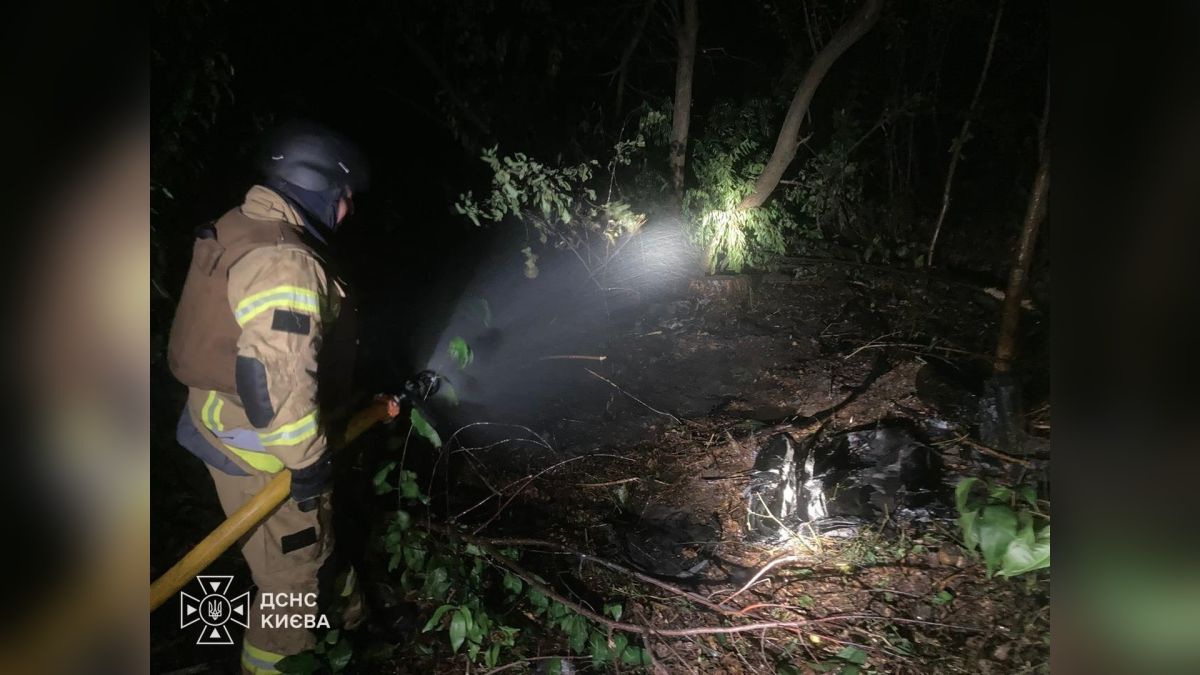 Пожежу в лісовій зоні Святошинського р-ну після обстрілу ліквідували Пожежники гасять пожежу в лісовій зоні Святошинського р-ну Києва після російського обстрілу 9 вересня, площа горіння 15 кв. м