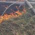 Пожежа в Чорнобильській зоні після «Гераней»: 82 га горить