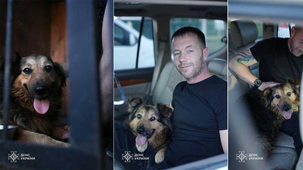 Диверсанта, який спалив авто військового та відділення «Укрпошти», засудили до 10 років Диверсанта, який спалив авто військового та відділення «Укрпошти», засудили до 10 років