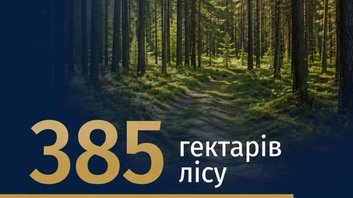 Київська обласна прокуратура повернула державі 385 гектарів лісових земель у Бориспільському районі вартістю понад 3 млн грн