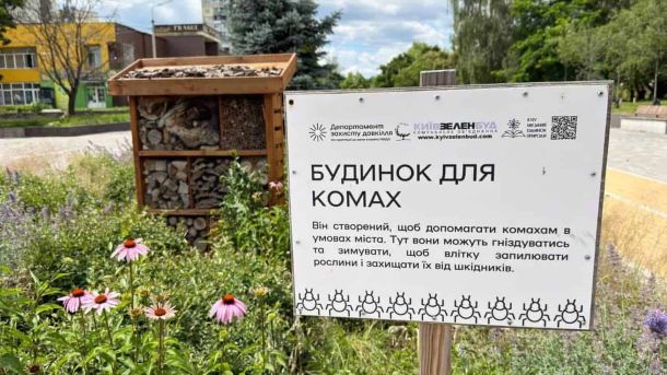 У зелених зонах Києва цього року з'явилося 12 нових будиночків для комах — у Дарницькому, Печерському, Подільському, Святошинському та Шевченківському