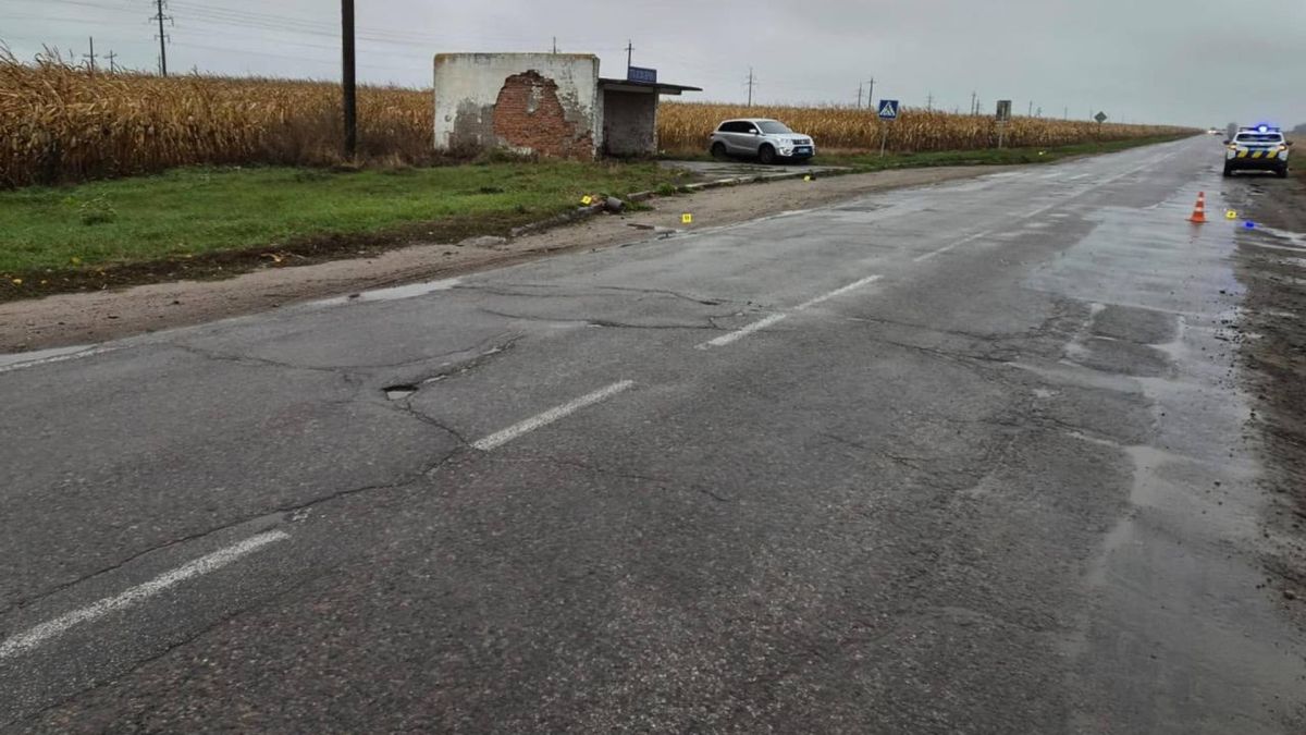 Місце смертельного наїзду на пішохода біля зупинки на автодорозі М-05 поблизу Ставища, поруч поліцейське авто