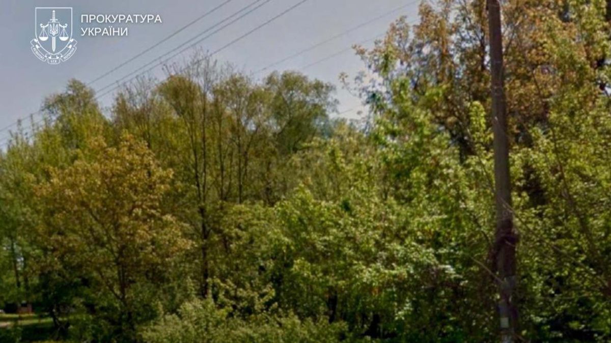 Київ повернув землю на Сирецькій вартістю 2 млн грн Територія, на якій ростуть дерева
