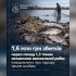 Незаконний вилов риби на Київському водосховищі — трьом підозрюваним повідомлено про підозру