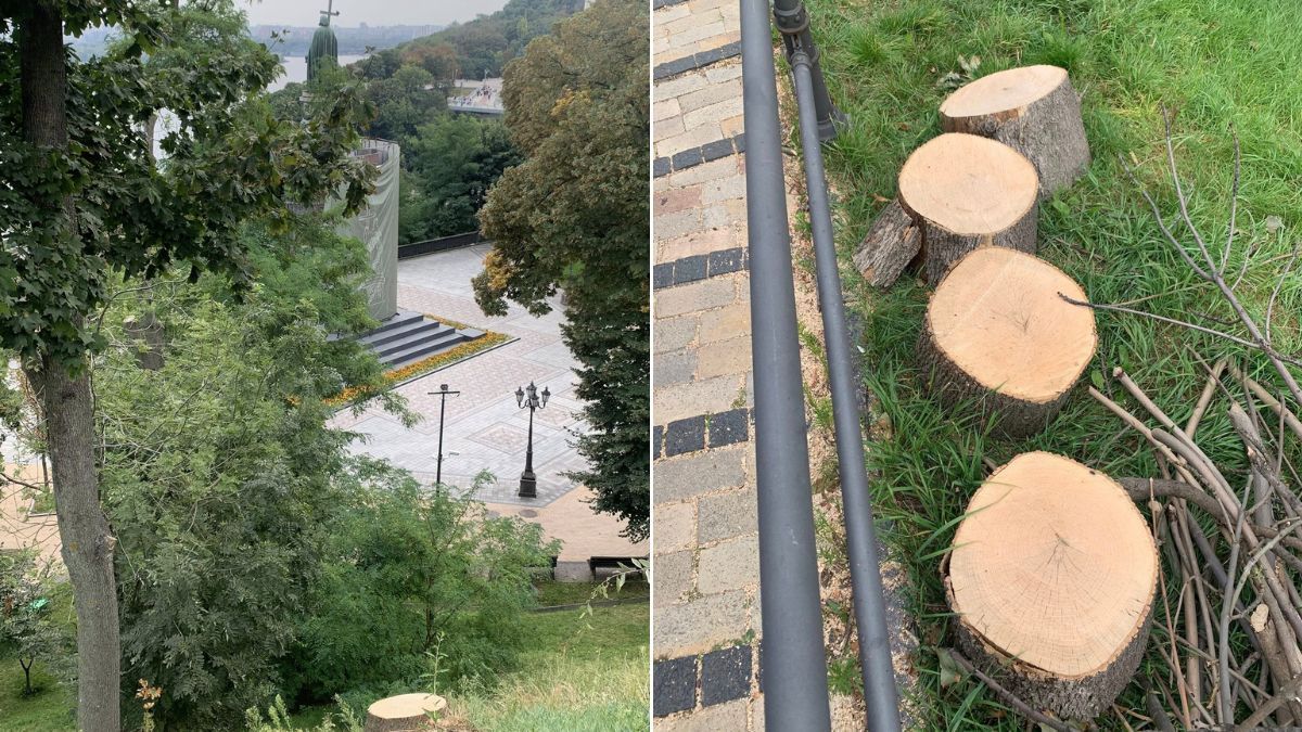 Вигляд на схили біля пам’ятника князю Володимиру в Києві, поруч зрізані пеньки