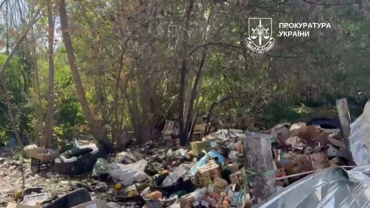 Засмічена ділянка парку з купами побутового сміття, коробками та шинами