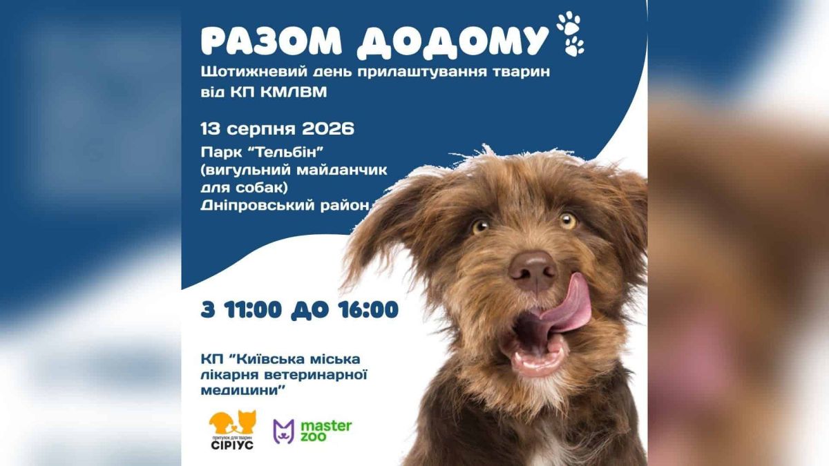 День адопції в парку «Тельбін»: 13 серпня шукають родини для собак Вигульний майданчик для собак у парку «Тельбін» у Дніпровському районі Києва, День адопції 13 серпня 2026 року