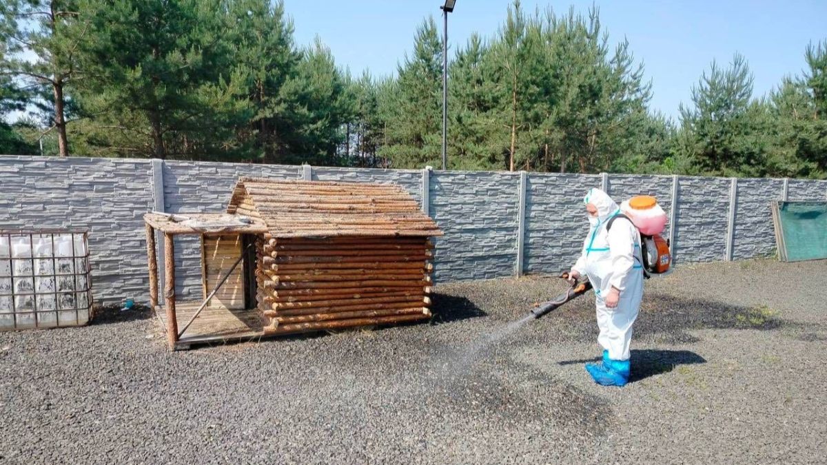 Сказ у собаки та борсука під Києвом: у Боярці й Бобриці ввели карантин Сказ у собаки та борсука під Києвом: у Боярці й Бобриці ввели карантин