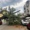 Головні новини Києва | Kyiv.News Перекрита вулиця Ярославська у Києві через упале дерево, поліція викликала відповідні служби