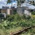 На київській Замковій горі відбулася масштабна толока з упорядкування занедбаної території Флорівського цвинтаря — одного з найстаріших некрополів міста