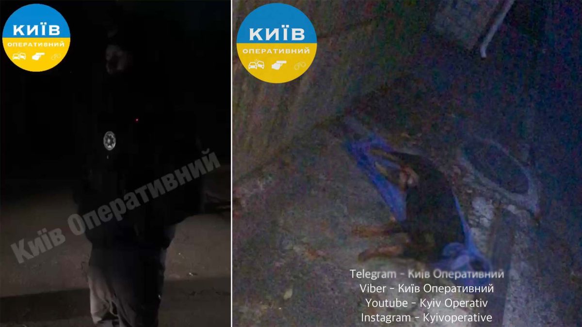 У Софіївській Борщагівці патрульний застрелив ротвейлера: дві версії інциденту Вбита собака