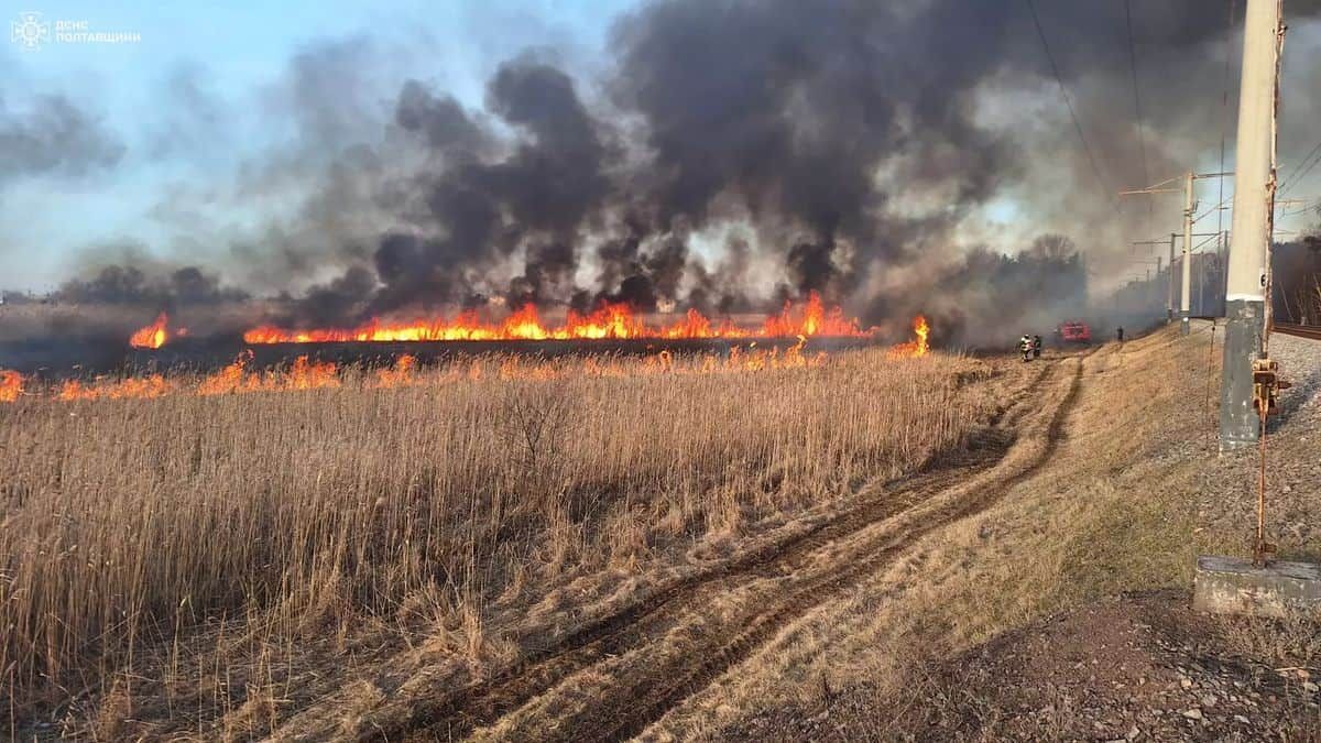 Пожежа в полі з вогненним пожежею і чорним димом, що піднімається в небо, на передньому плані суха трава і стежка, з правого боку електричні стовпи і кабелі.