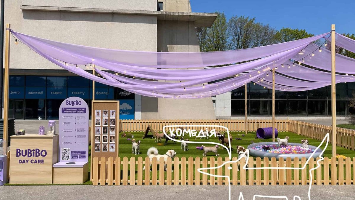 Ігрова зона Bubibo Day Care з собаками на зеленому газоні під бузковим наметом на фестивалі Кураж у Києві