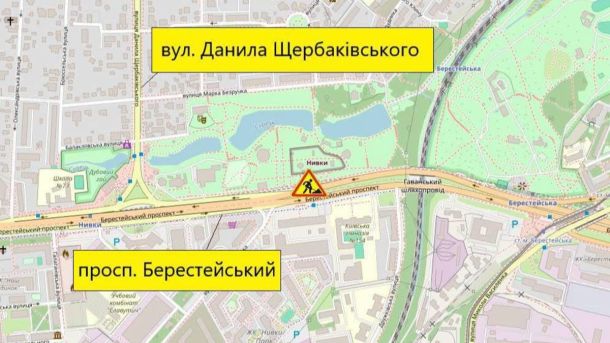 У КиївЗоо облаштували нову оселю для врятованих сервалів із Донеччини