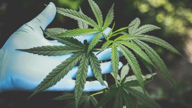 72-річний майстер із Стамбула реставрує годинники 58 років — почав у 14 72-річний майстер із Стамбула реставрує годинники 58 років — почав у 14