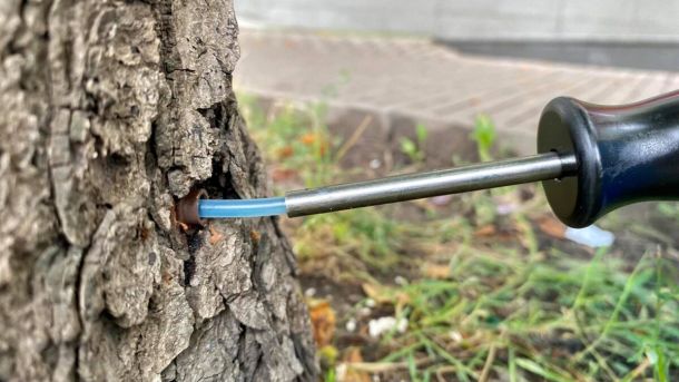«Мене потри — контракт підпиши»: у Києві встановили мініскульптуру, присвячену підприємцям минулого