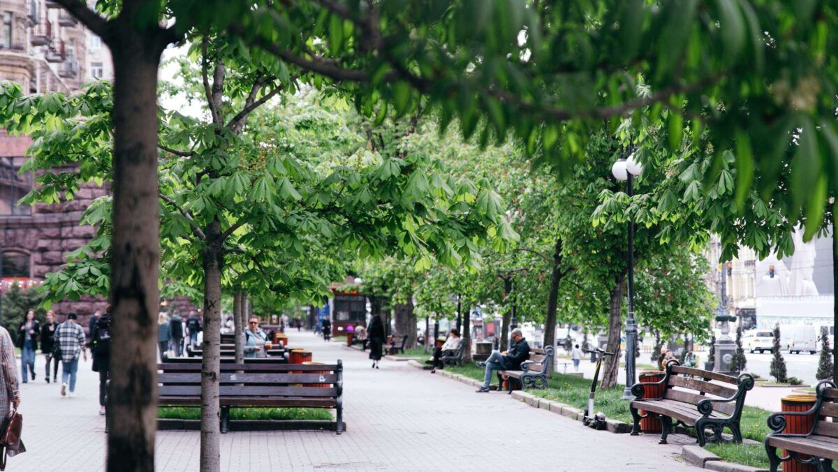 У Києві проведуть безкоштовні екскурсії: одна з них — спеціально для ВПО