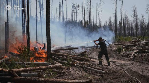 Пожежа в Чорнобильській зоні: 200 рятувальників і 60 одиниць техніки гасять ліс Рятувальник ДСНС Київщини гасить лісову пожежу в Чорнобильській зоні відчуження — температура в осередках горіння сягає 50 градусів