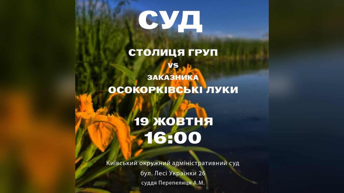 Суд щодо заказника «Осокорківські луки»: засідання 19 жовтня о 16:00 Афіша судового засідання 19 жовтня о 16:00 у справі «Столиця Груп» проти заказника «Осокорківські луки» на тлі квітучих ірисів біля води