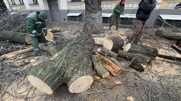 Спиляні дерева на Подолі. Фото: Марія Андрійчук-Журавель / Facebook