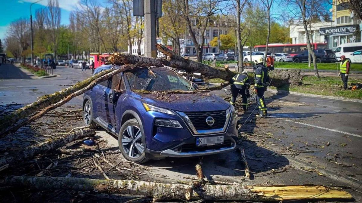 Пожежа на Білоцерківщині: дерево впало на Nissan під час негоди