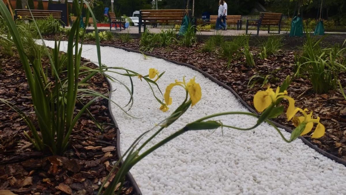 У 2025 році в Києві з’являться нові дощові садки: Володимирська гірка, Контрактова площа, Пуща-Водиця У 2025 році в Києві з’являться нові дощові садки: Володимирська гірка, Контрактова площа, Пуща-Водиця