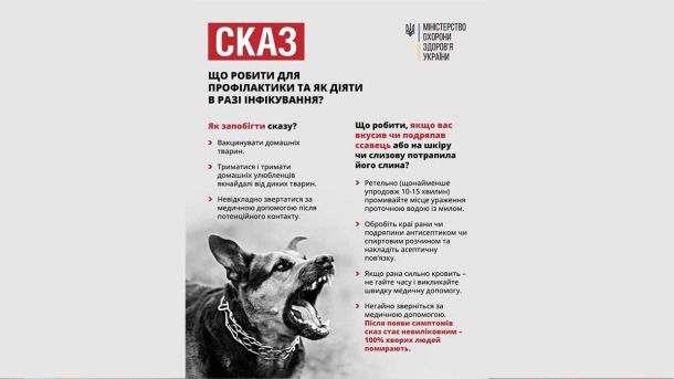інфографіка сказ