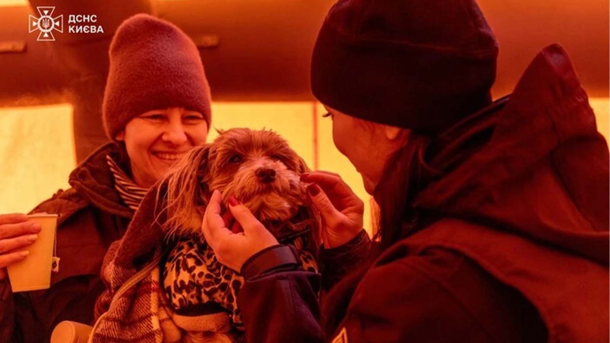Киян закликають рятувати безпритульних тварин під час відключень світла Працівник служби допомоги пестить песика в пункті допомоги ДСНС