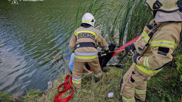 Двір на Полярній, 6: іржава гірка, бетон і скло замість майданчика Рятувальники ДСНС Київщини витягують корову з річки Рось у Білоцерківському районі за допомогою пожежних рукавів