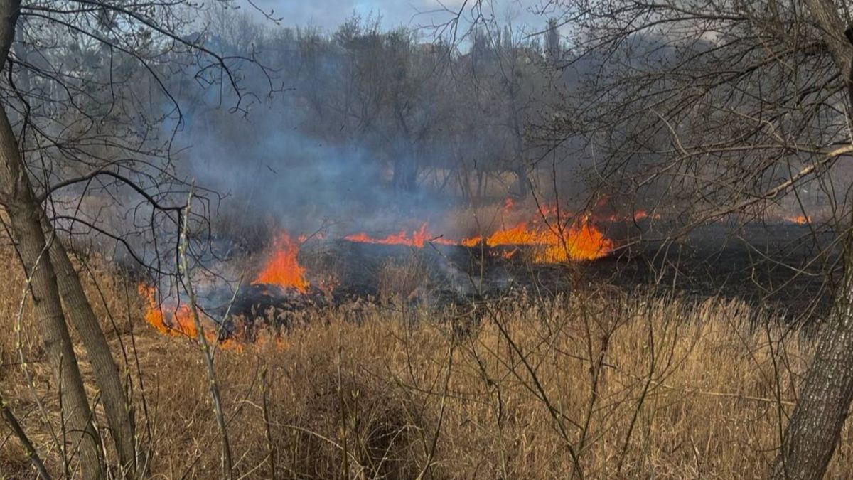 Рятувальники ДСНС ліквідують загоряння сухостою на відкритій місцевості у Голосіївському районі Києва