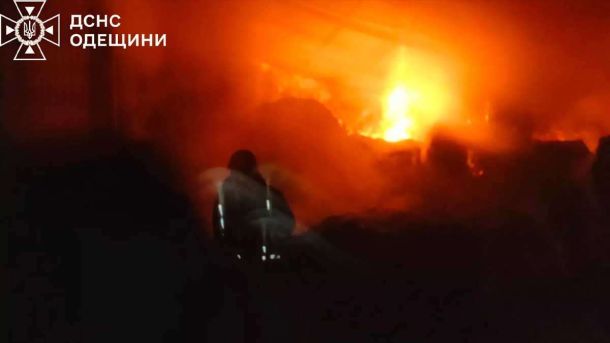 Путін грає на слабкості Заходу: як зламати його впевненість Фото ДСНС