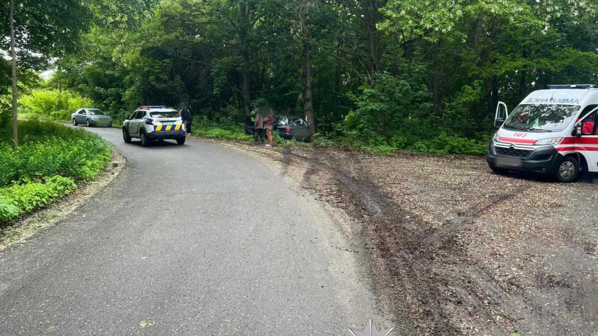 ДТП на Вишгородщині: пасажир загинув, водій п'яний