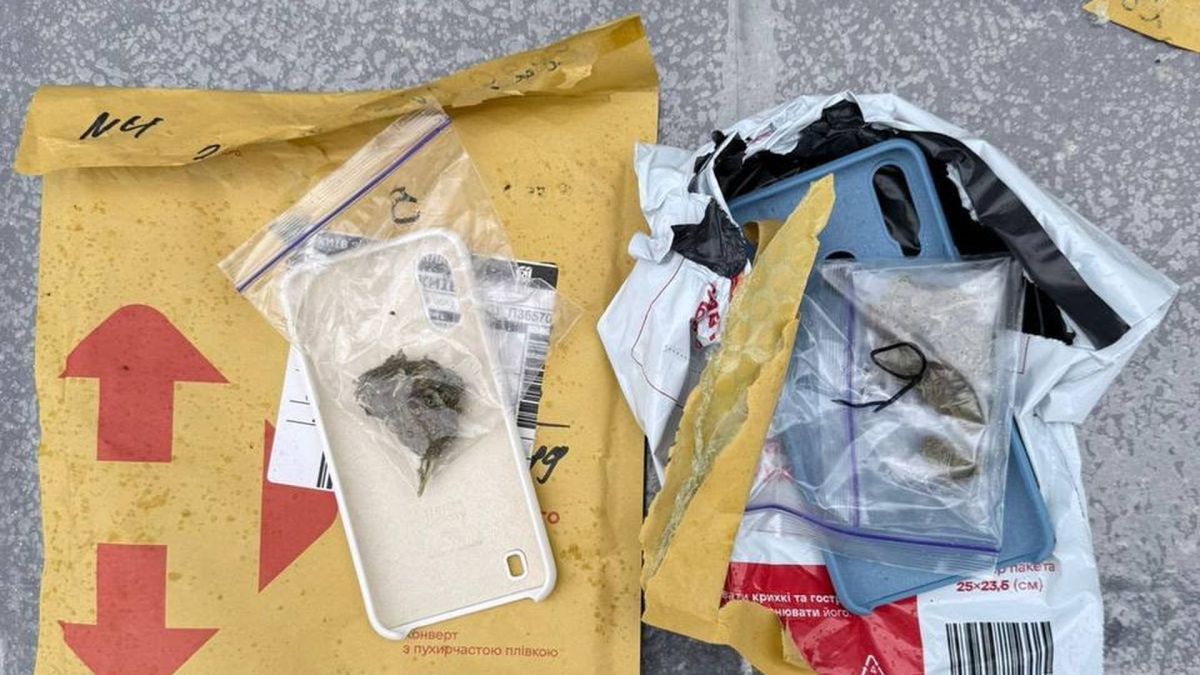 Чохол від телефона і в ньому пакет з канабісом